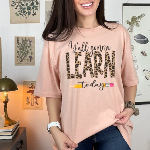 Mystery Teacher Shirt
