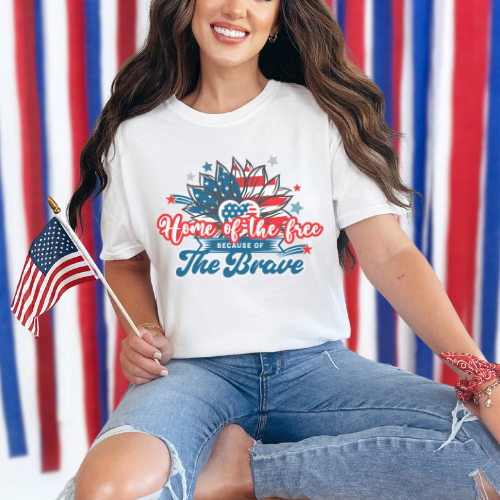 Mystery Fourth of July Shirt